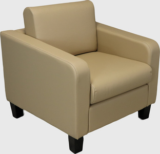 Lounge Chair