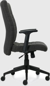 Carleton | high back tilter