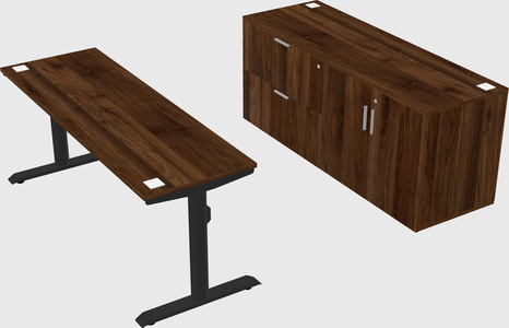 Dual motor electric desk