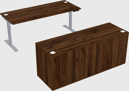 Dual motor electric desk