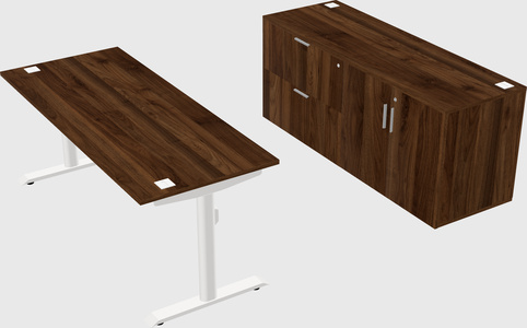 Dual motor electric desk