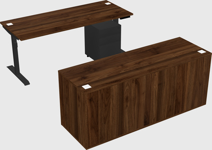 Dual motor electric desk