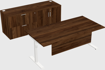 Dual Motor Electric Desk