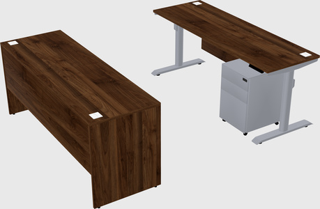 Dual motor electric desk