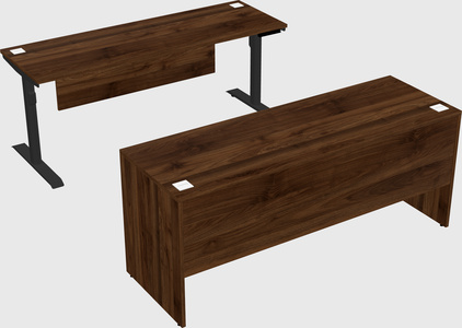 Dual motor electric desk