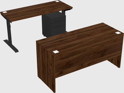 Dual motor electric desk