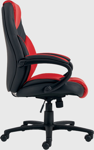 Multi purpose chairs