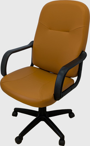 Multi Purpose Chair