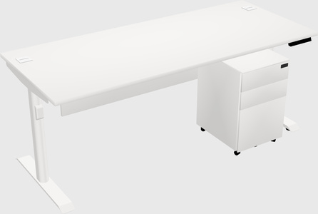 Dual motor electric desk