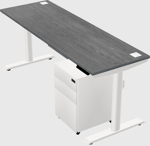 Dual motor electric desk