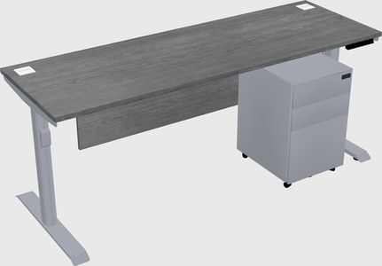 Dual motor electric desk