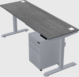 Dual motor electric desk