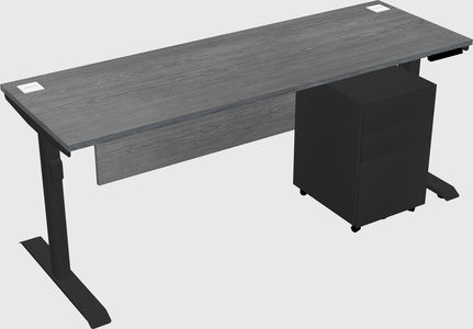 Dual motor electric desk