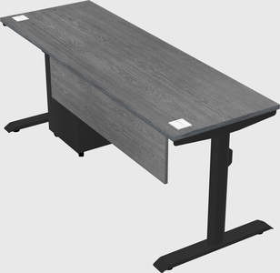 Dual motor electric desk