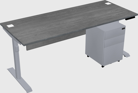 Dual motor electric desk