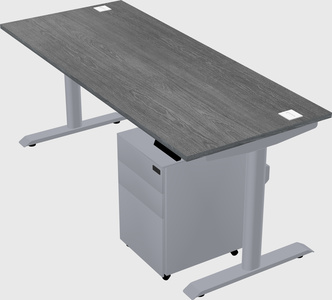 Dual motor electric desk