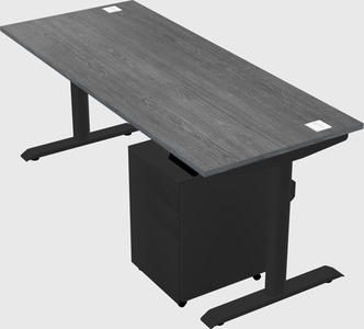 Dual motor electric desk