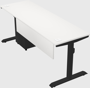 Dual motor electric desk