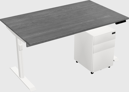 Dual Motor Electric Desk