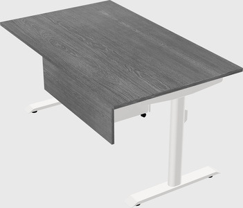 Dual motor electric desk
