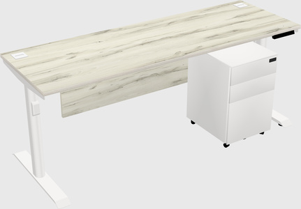 Dual motor electric desk