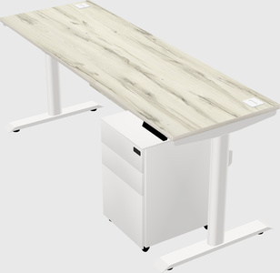 Dual motor electric desk