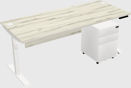 Dual motor electric desk