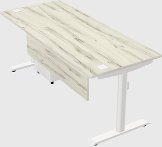 Dual motor electric desk