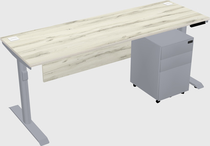 Dual motor electric desk
