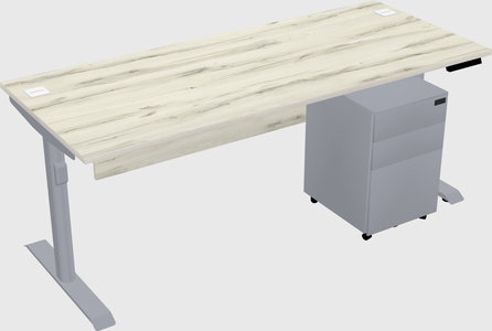 Dual motor electric desk