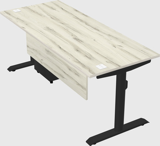 Dual motor electric desk