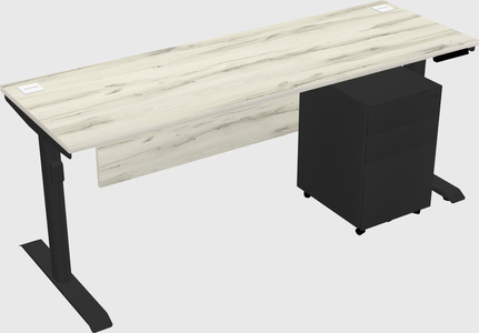 Dual motor electric desk