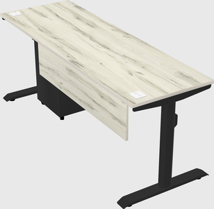 Dual motor electric desk