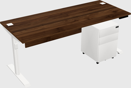 Dual Motor Electric Desk