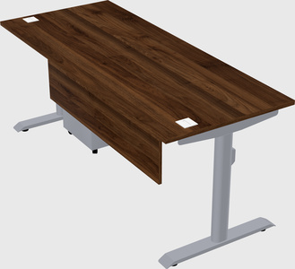 Dual motor electric desk