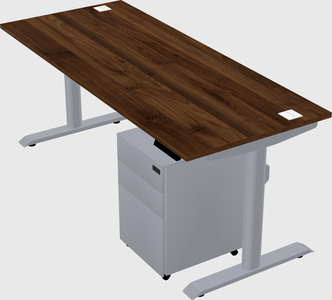 Dual motor electric desk
