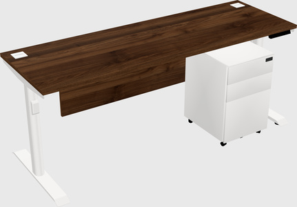 Dual motor electric desk