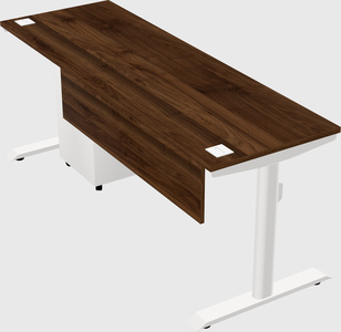 Dual motor electric desk