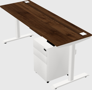 Dual motor electric desk