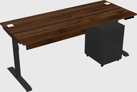 Dual motor electric desk