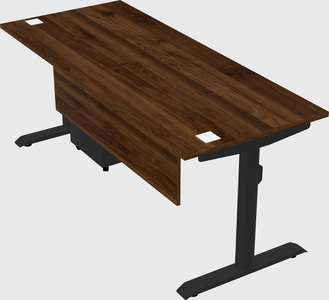 Dual motor electric desk