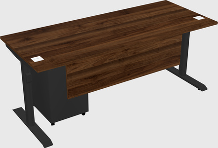Dual motor electric desk