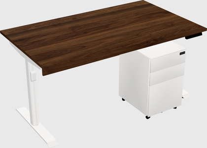 Dual Motor Electric Desk