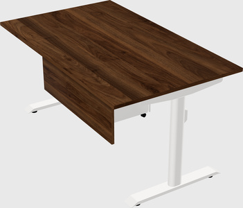 Dual motor electric desk