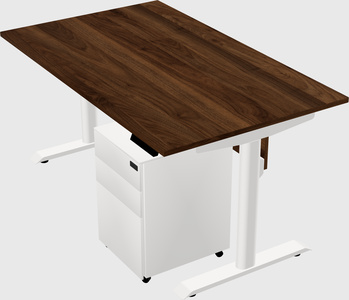 Dual motor electric desk