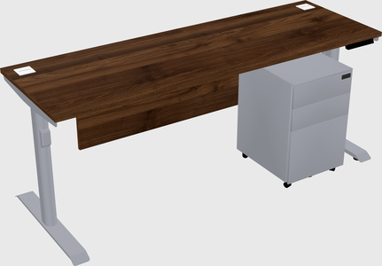 Dual motor electric desk