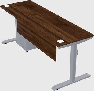 Dual motor electric desk