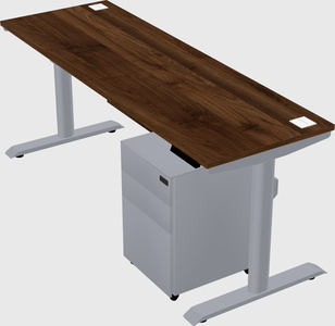 Dual motor electric desk