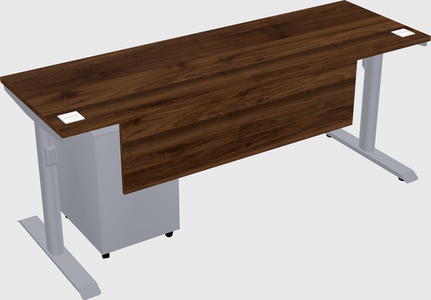 Dual motor electric desk