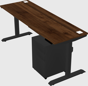 Dual motor electric desk